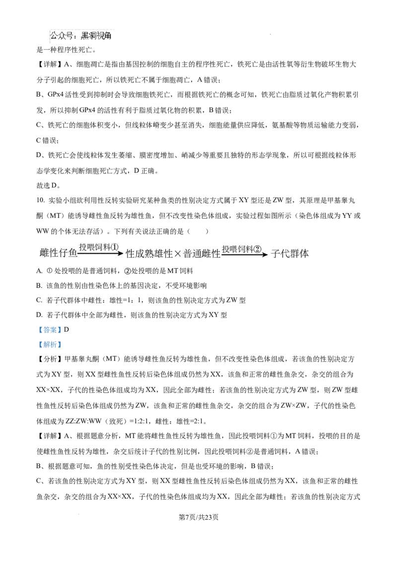 黑龙江省绥化市绥棱县第一中学2024-2025学年高三上学期10月月考生物试题答案_2024-2025高三（6-6月题库）_2024年10月试卷_1024黑龙江省绥化市绥棱县第一中学2024-2025学年高三上学期10月月考