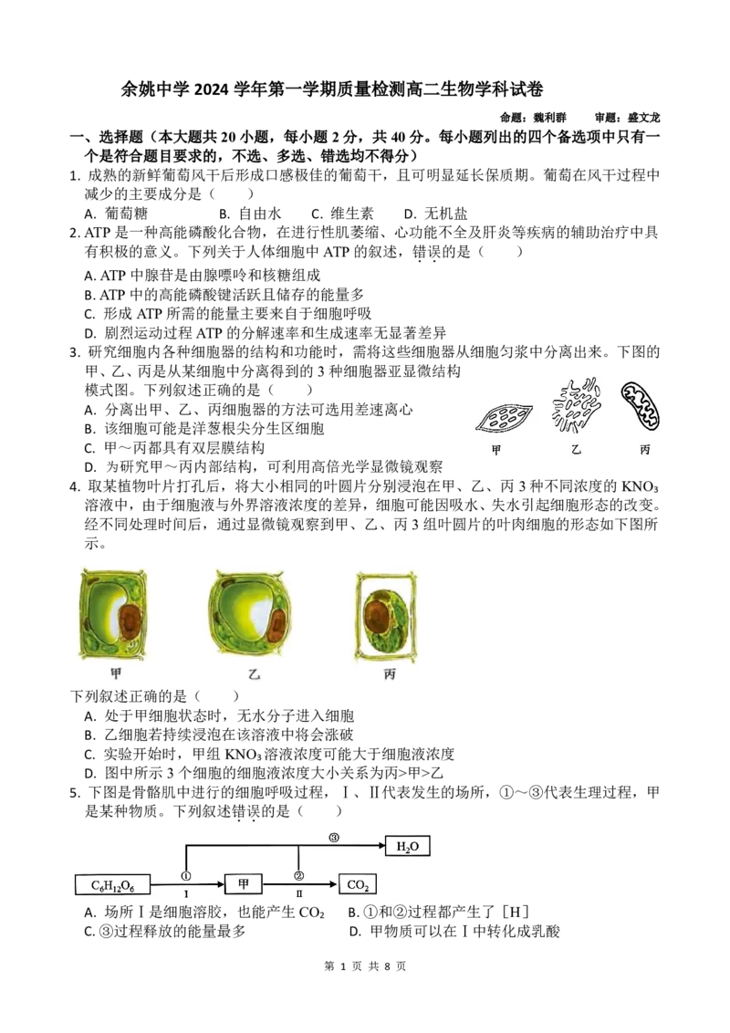 高二生物第一学期10月质量检测_2024-2025高二（7-7月题库）_2024年11月试卷_1107浙江省宁波市余姚中学2024-2025学年高二上学期10月月考