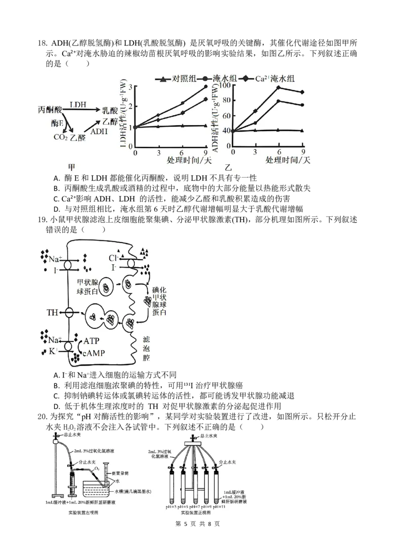 高二生物第一学期10月质量检测_2024-2025高二（7-7月题库）_2024年11月试卷_1107浙江省宁波市余姚中学2024-2025学年高二上学期10月月考