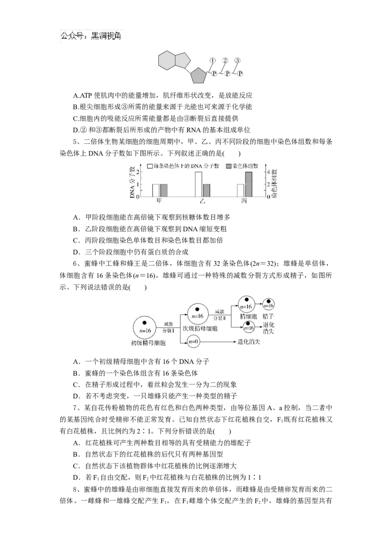 湖北省随州市部分高中联考协作体2024-2025学年高三上学期12月联考生物试题_2024-2025高三（6-6月题库）_2024年12月试卷