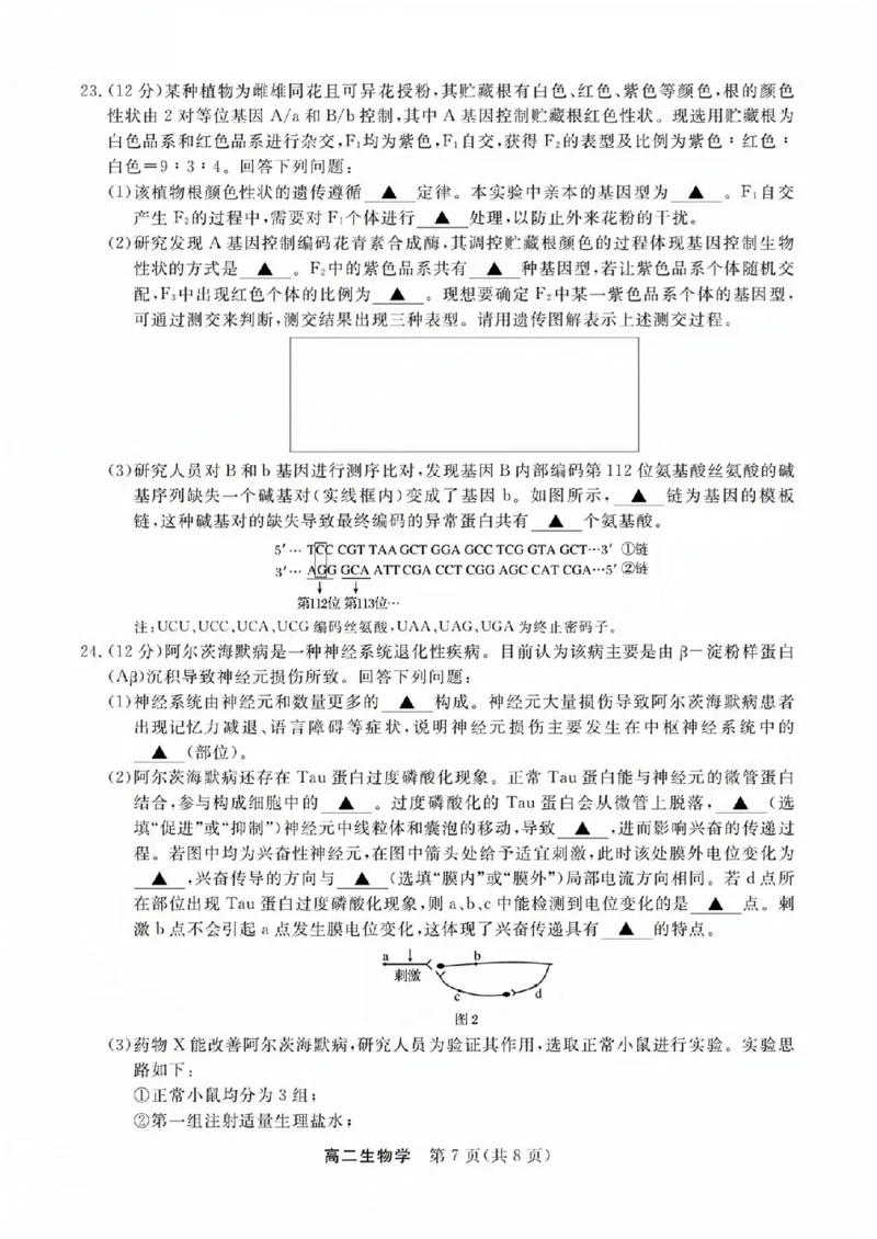 生物试题_2025年11月高二试卷_251126浙江省卓越高中联盟2025-2026学年高二上学期11月期中联考（全）_浙江省卓越高中联盟2025-2026学年高二上学期11月期中联考生物试题（图片版，含答案）