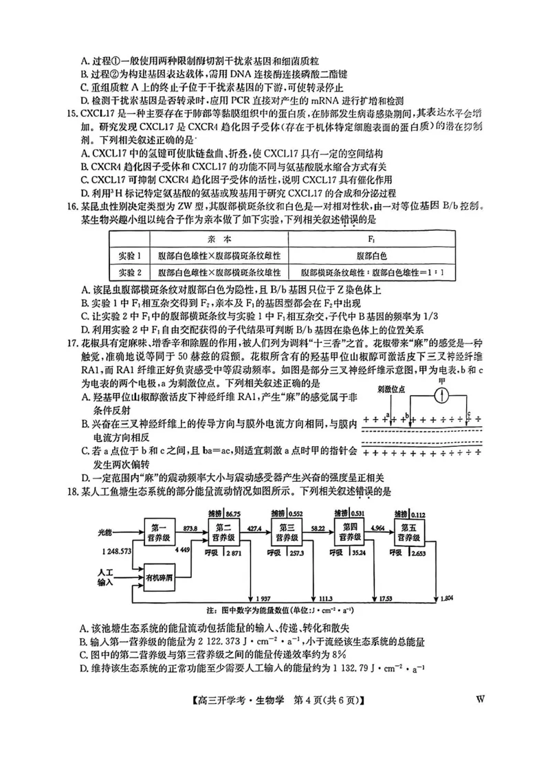 生物-河南省开封五县考2024-2025学年高三上学期开学联考_2024-2025高三（6-6月题库）_2024年09月试卷_0903河南省开封五县考2024-2025学年高三上学期开学联考