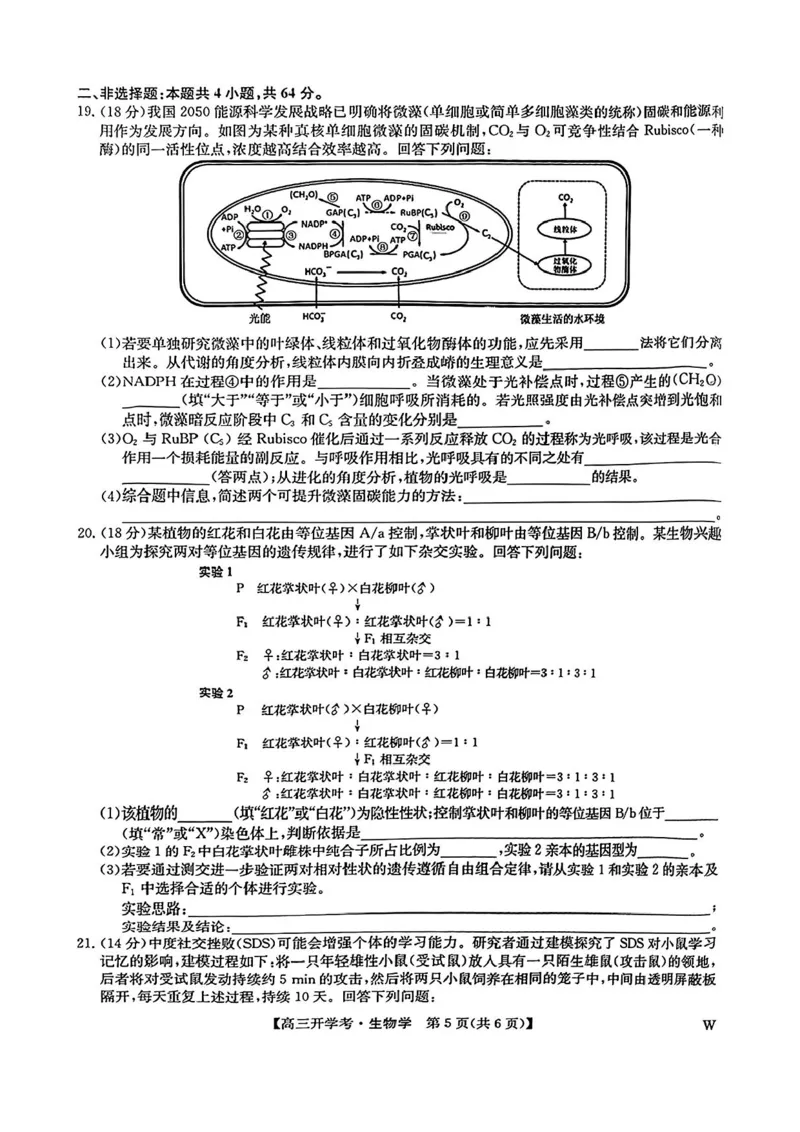 生物-河南省开封五县考2024-2025学年高三上学期开学联考_2024-2025高三（6-6月题库）_2024年09月试卷_0903河南省开封五县考2024-2025学年高三上学期开学联考