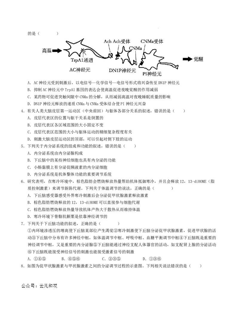 高二生物第一次月考卷（江苏专用）（考试版A4）测试范围：选择性必修1第1-4章（人教版2019）_2024-2025高二（7-7月题库）_2024年09月试卷