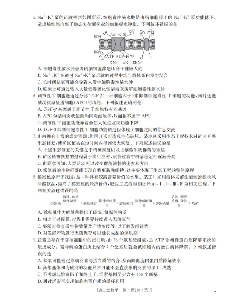 内蒙古2026届高三上学期12月联考（26-145C）生物_2024-2026高三（6-6月题库）_2026年01月高三试卷_0110金太阳&middot;内蒙古2026届高三上学期12月联考（26-145C）（全）