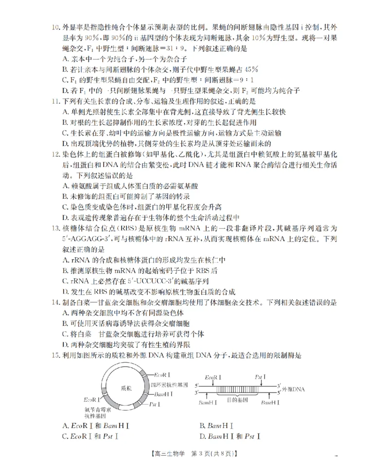 内蒙古2026届高三上学期12月联考（26-145C）生物_2024-2026高三（6-6月题库）_2026年01月高三试卷_0110金太阳&middot;内蒙古2026届高三上学期12月联考（26-145C）（全）