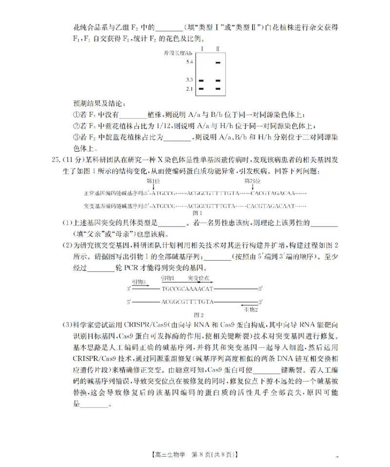 内蒙古2026届高三上学期12月联考（26-145C）生物_2024-2026高三（6-6月题库）_2026年01月高三试卷_0110金太阳&middot;内蒙古2026届高三上学期12月联考（26-145C）（全）