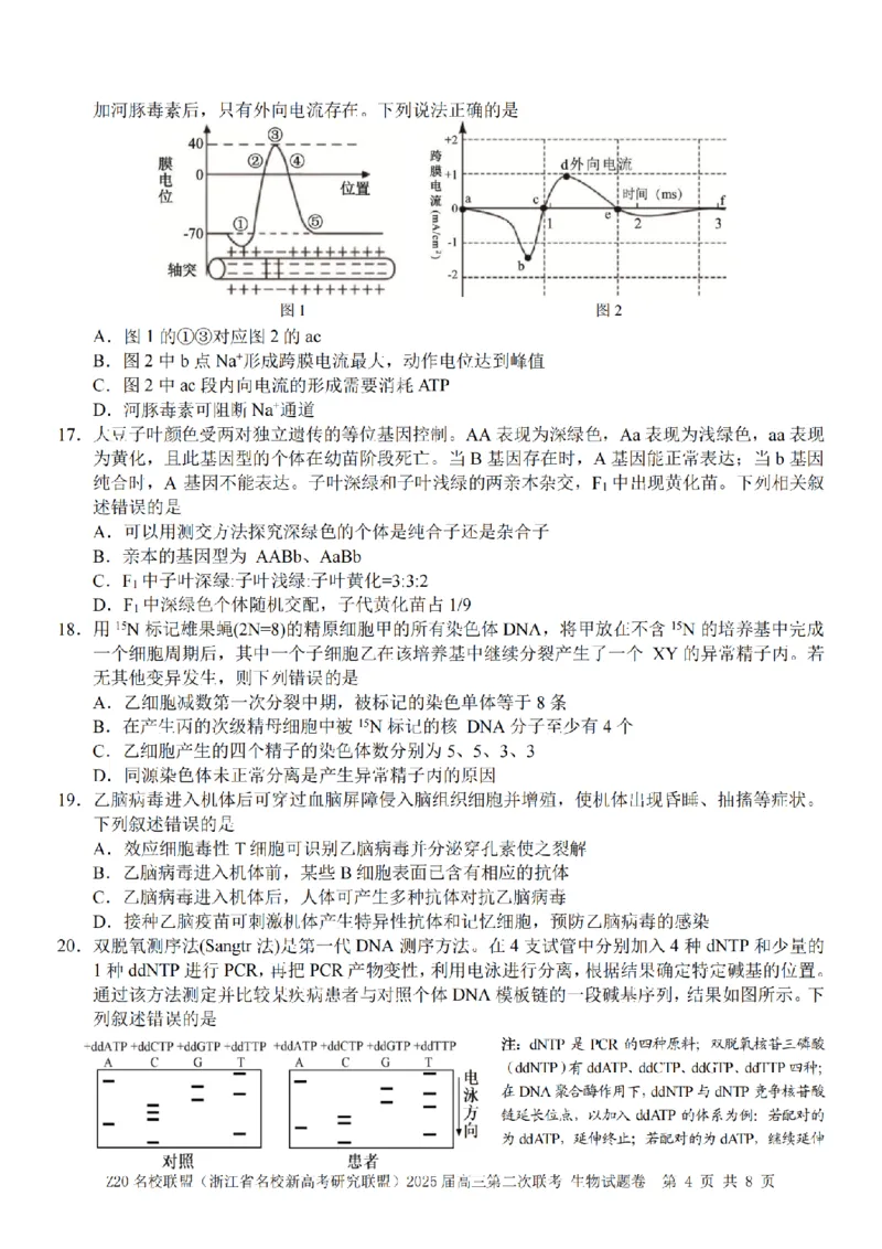 生物卷-2412Z20名校联盟2025届高三第二次联考_2024-2025高三（6-6月题库）_2024年12月试卷_1218浙江省Z20名校联盟（名校新高考研究联盟）2024-2025学年高三上学期第二次联考