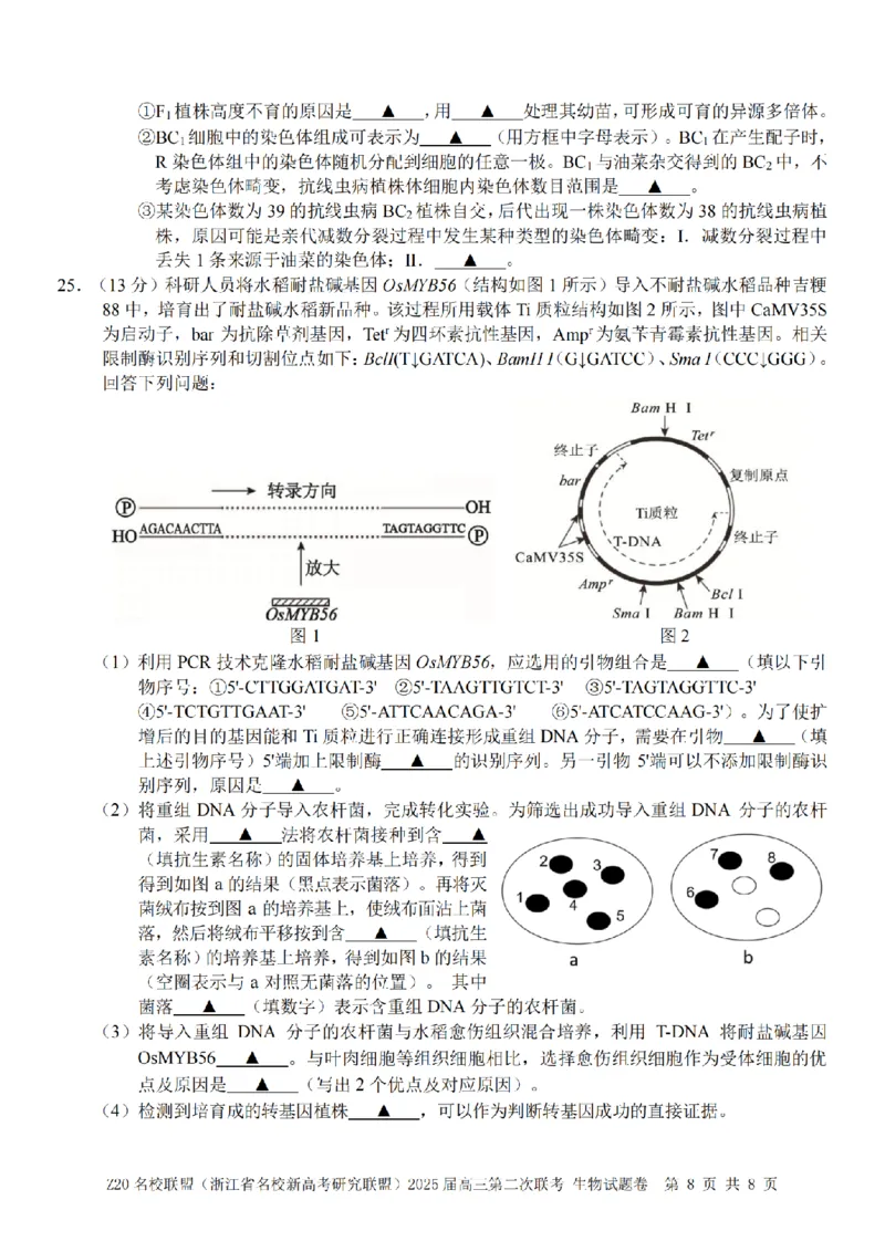 生物卷-2412Z20名校联盟2025届高三第二次联考_2024-2025高三（6-6月题库）_2024年12月试卷_1218浙江省Z20名校联盟（名校新高考研究联盟）2024-2025学年高三上学期第二次联考