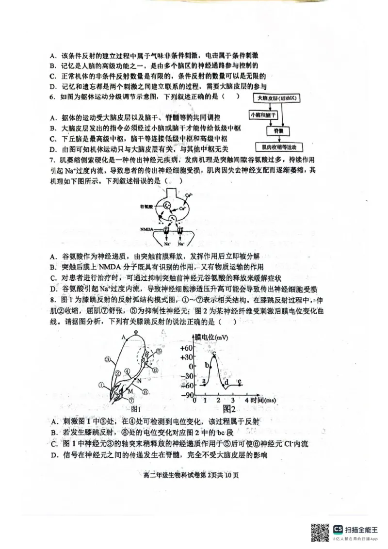 辽宁省大连市第八中学2025-2026学年高二上学期10月月考生物试题（扫描版，有答案）_2025年11月高二试卷_251102辽宁省大连市第八中学2025-2026学年高二上学期10月阶段测试