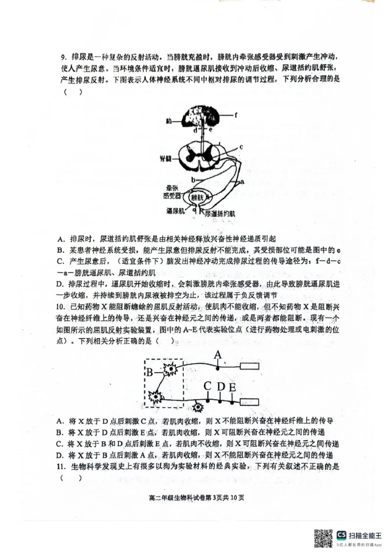 辽宁省大连市第八中学2025-2026学年高二上学期10月月考生物试题（扫描版，有答案）_2025年11月高二试卷_251102辽宁省大连市第八中学2025-2026学年高二上学期10月阶段测试