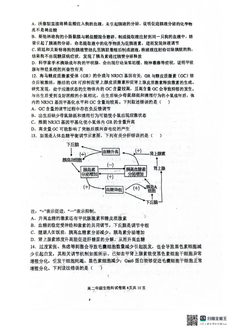 辽宁省大连市第八中学2025-2026学年高二上学期10月月考生物试题（扫描版，有答案）_2025年11月高二试卷_251102辽宁省大连市第八中学2025-2026学年高二上学期10月阶段测试