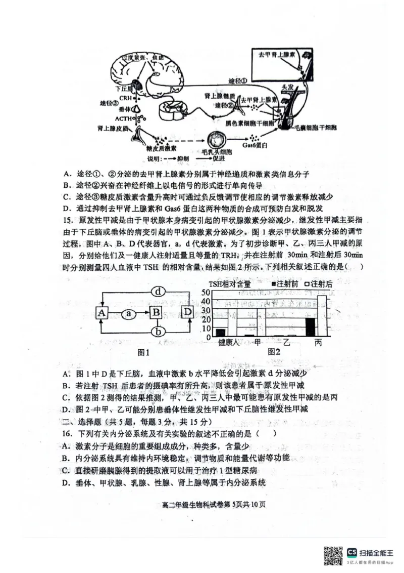 辽宁省大连市第八中学2025-2026学年高二上学期10月月考生物试题（扫描版，有答案）_2025年11月高二试卷_251102辽宁省大连市第八中学2025-2026学年高二上学期10月阶段测试