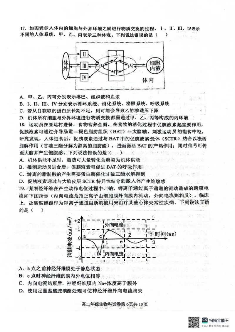 辽宁省大连市第八中学2025-2026学年高二上学期10月月考生物试题（扫描版，有答案）_2025年11月高二试卷_251102辽宁省大连市第八中学2025-2026学年高二上学期10月阶段测试