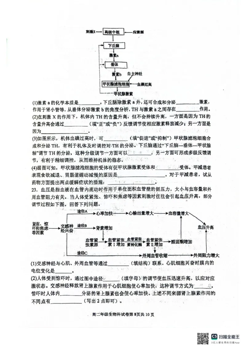 辽宁省大连市第八中学2025-2026学年高二上学期10月月考生物试题（扫描版，有答案）_2025年11月高二试卷_251102辽宁省大连市第八中学2025-2026学年高二上学期10月阶段测试