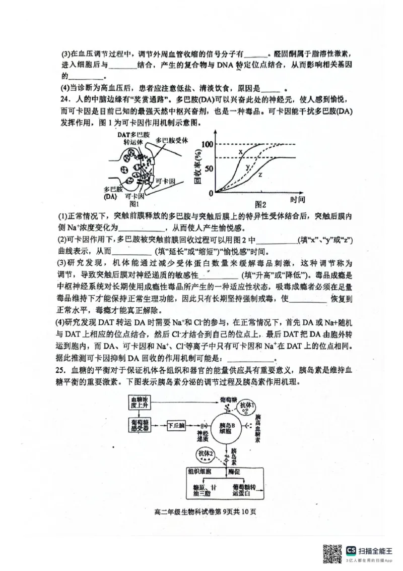 辽宁省大连市第八中学2025-2026学年高二上学期10月月考生物试题（扫描版，有答案）_2025年11月高二试卷_251102辽宁省大连市第八中学2025-2026学年高二上学期10月阶段测试