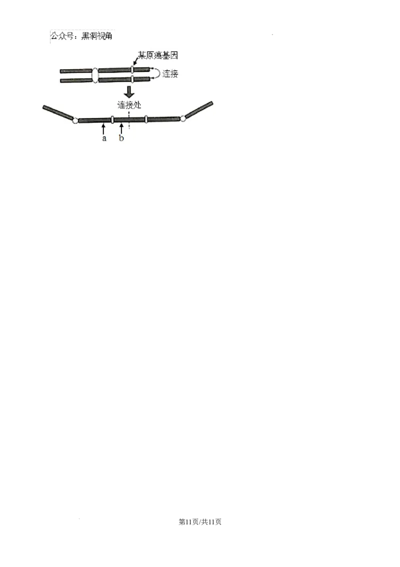 黑龙江省绥化市绥棱县第一中学2024-2025学年高三上学期10月月考生物试题_2024-2025高三（6-6月题库）_2024年10月试卷_1024黑龙江省绥化市绥棱县第一中学2024-2025学年高三上学期10月月考