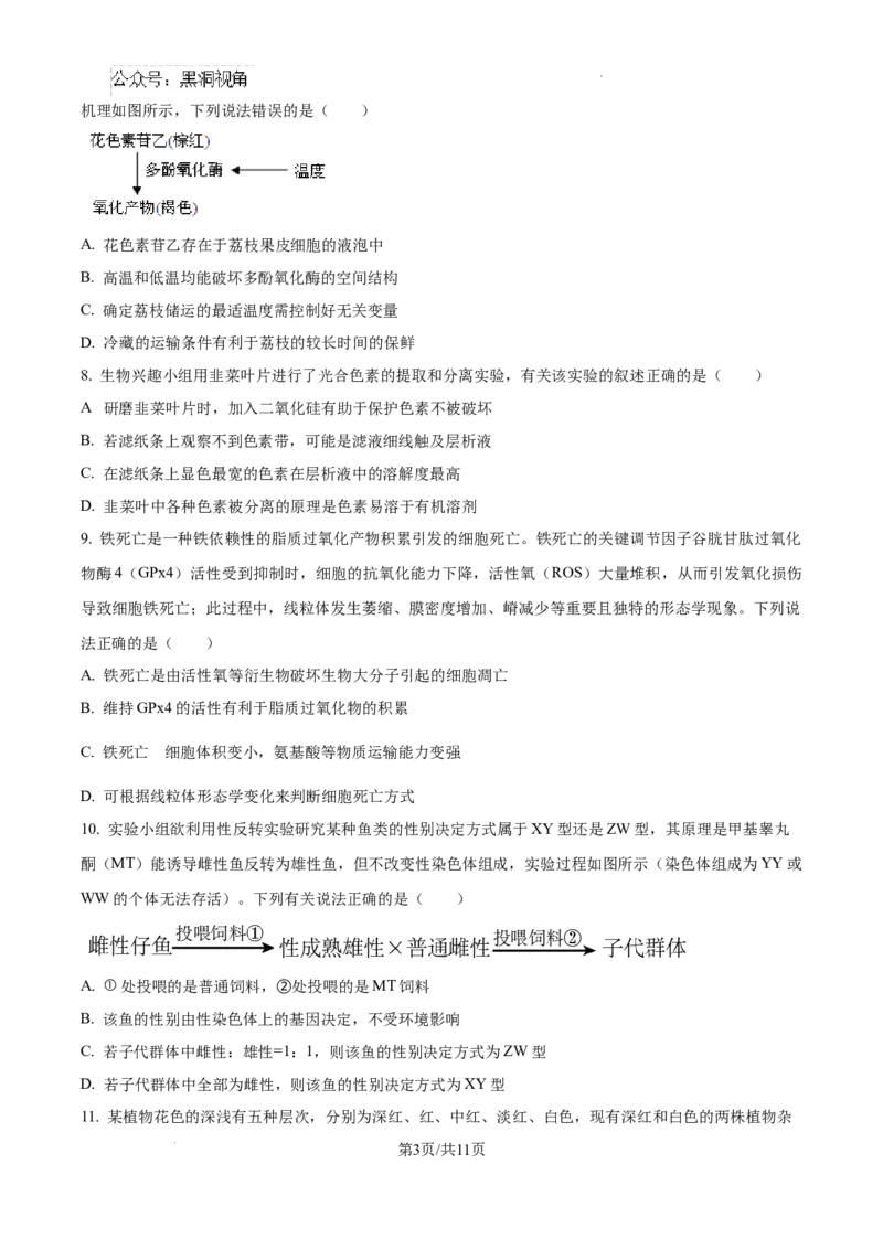 黑龙江省绥化市绥棱县第一中学2024-2025学年高三上学期10月月考生物试题_2024-2025高三（6-6月题库）_2024年10月试卷_1024黑龙江省绥化市绥棱县第一中学2024-2025学年高三上学期10月月考