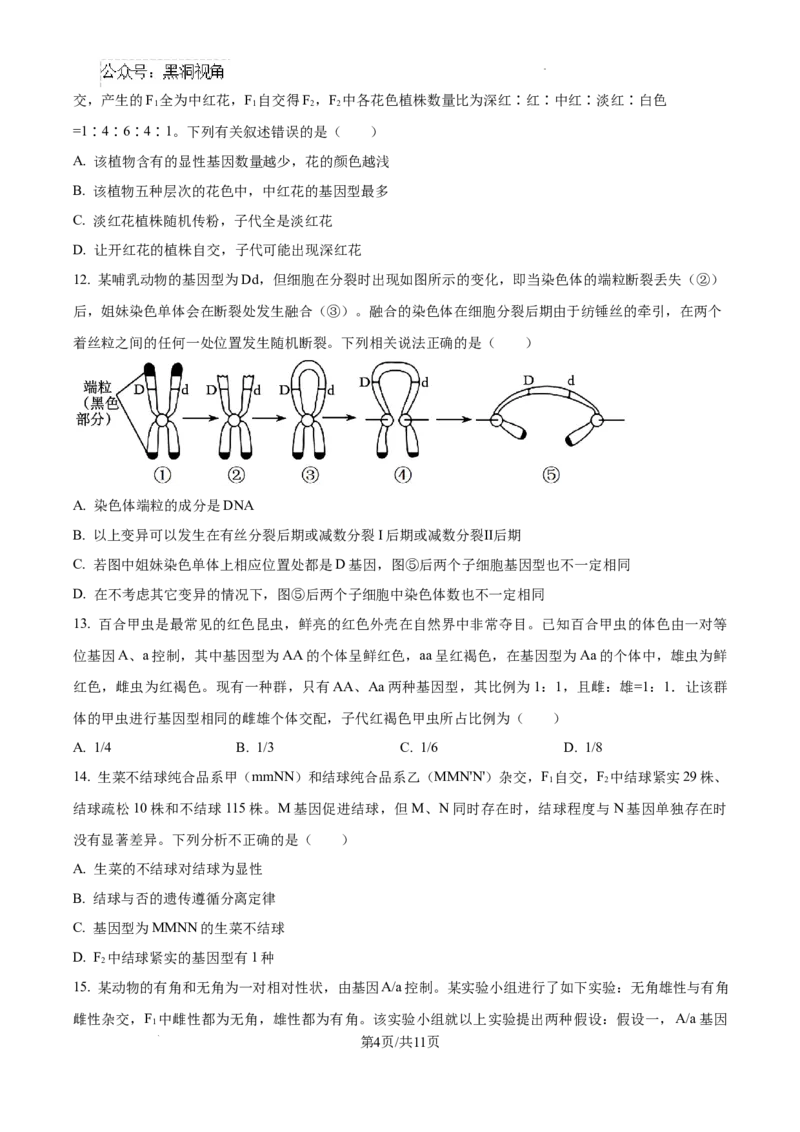 黑龙江省绥化市绥棱县第一中学2024-2025学年高三上学期10月月考生物试题_2024-2025高三（6-6月题库）_2024年10月试卷_1024黑龙江省绥化市绥棱县第一中学2024-2025学年高三上学期10月月考