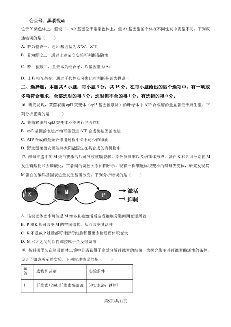 黑龙江省绥化市绥棱县第一中学2024-2025学年高三上学期10月月考生物试题_2024-2025高三（6-6月题库）_2024年10月试卷_1024黑龙江省绥化市绥棱县第一中学2024-2025学年高三上学期10月月考