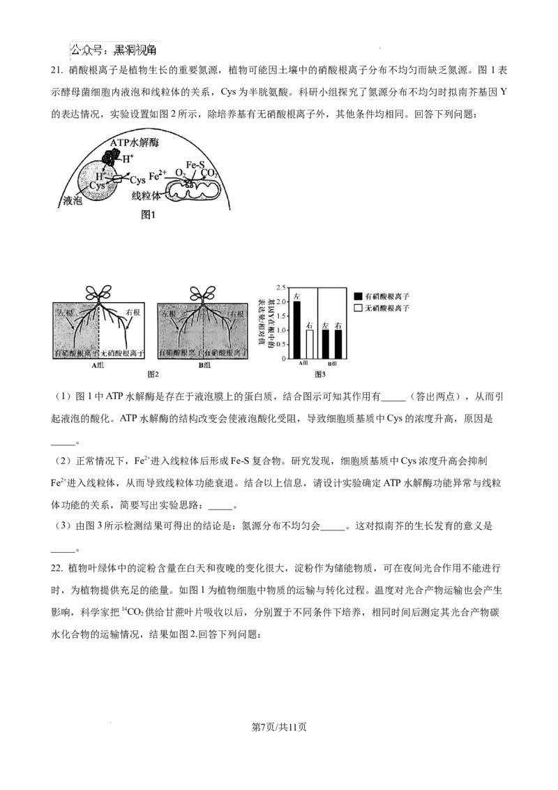 黑龙江省绥化市绥棱县第一中学2024-2025学年高三上学期10月月考生物试题_2024-2025高三（6-6月题库）_2024年10月试卷_1024黑龙江省绥化市绥棱县第一中学2024-2025学年高三上学期10月月考