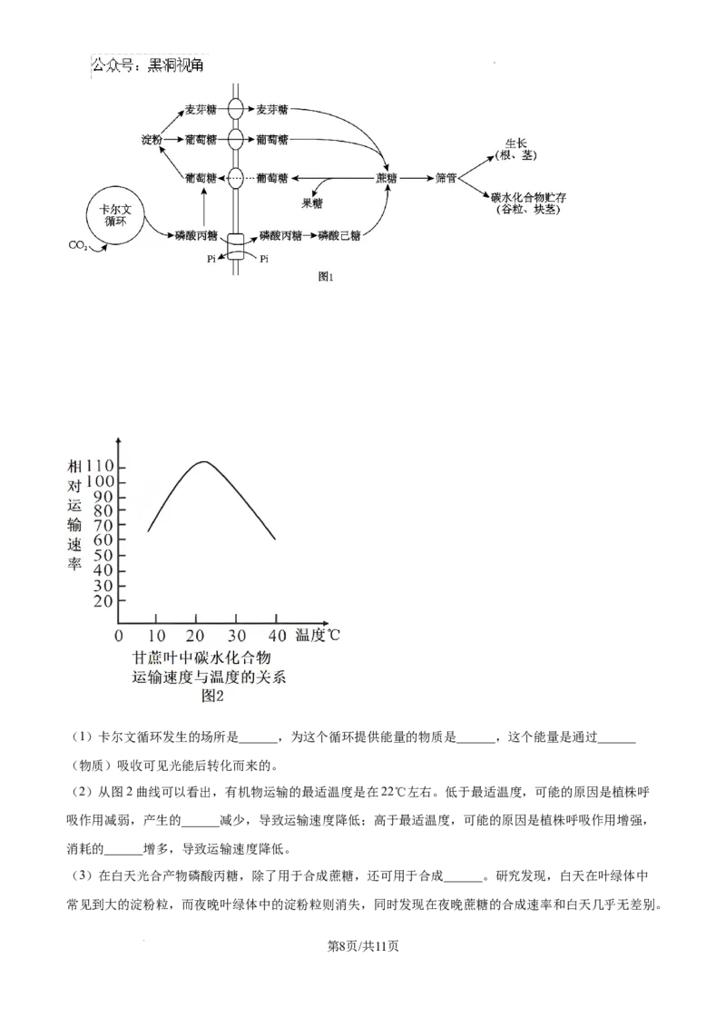 黑龙江省绥化市绥棱县第一中学2024-2025学年高三上学期10月月考生物试题_2024-2025高三（6-6月题库）_2024年10月试卷_1024黑龙江省绥化市绥棱县第一中学2024-2025学年高三上学期10月月考