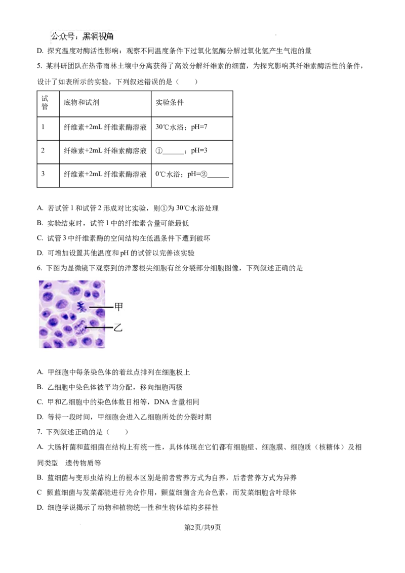 福建省福州第三中学2024-2025学年高三上学期10月月考生物_2024-2025高三（6-6月题库）_2024年10月试卷_1022福建省福州第三中学2024-2025学年高三上学期10月月考