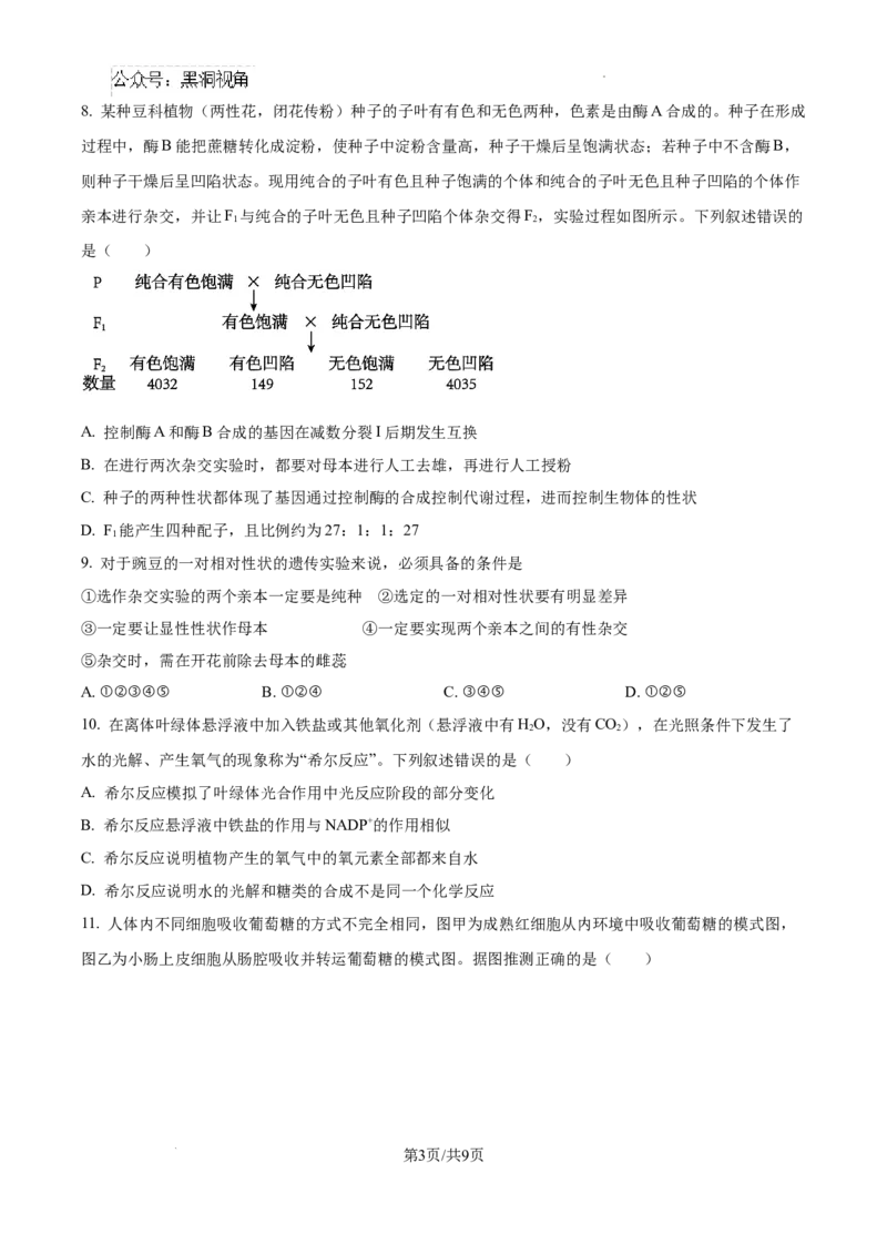 福建省福州第三中学2024-2025学年高三上学期10月月考生物_2024-2025高三（6-6月题库）_2024年10月试卷_1022福建省福州第三中学2024-2025学年高三上学期10月月考