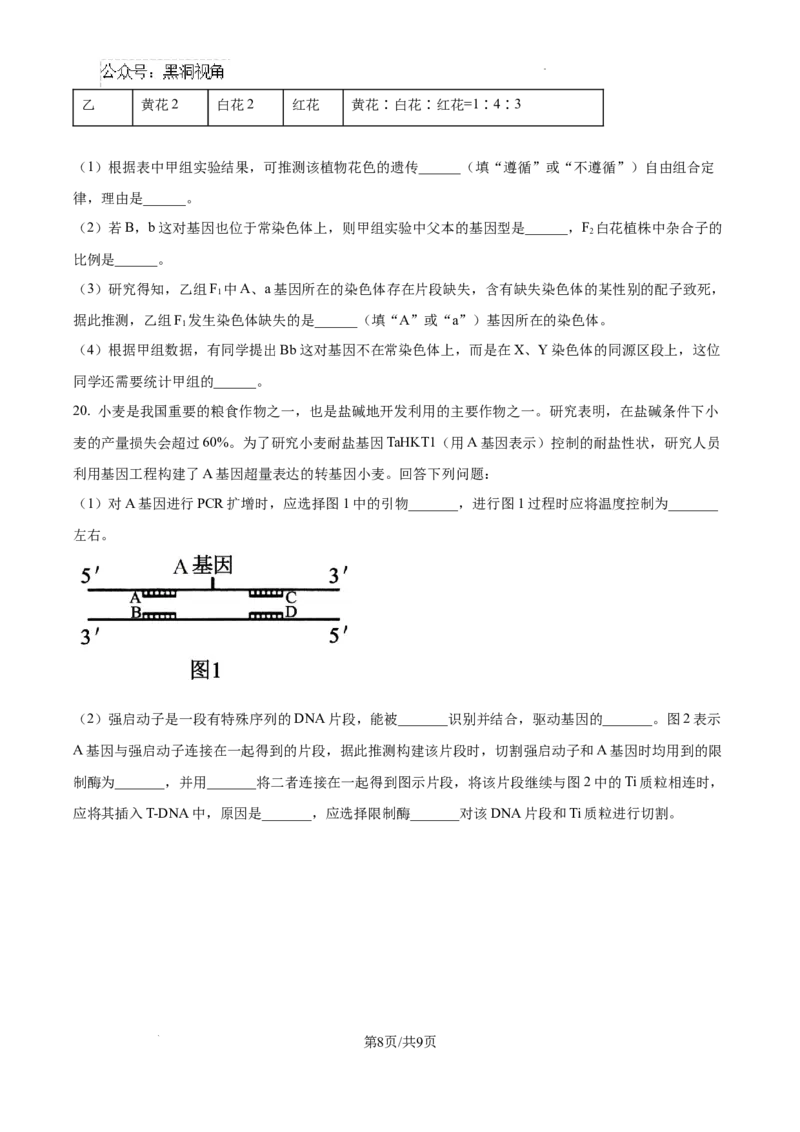 福建省福州第三中学2024-2025学年高三上学期10月月考生物_2024-2025高三（6-6月题库）_2024年10月试卷_1022福建省福州第三中学2024-2025学年高三上学期10月月考