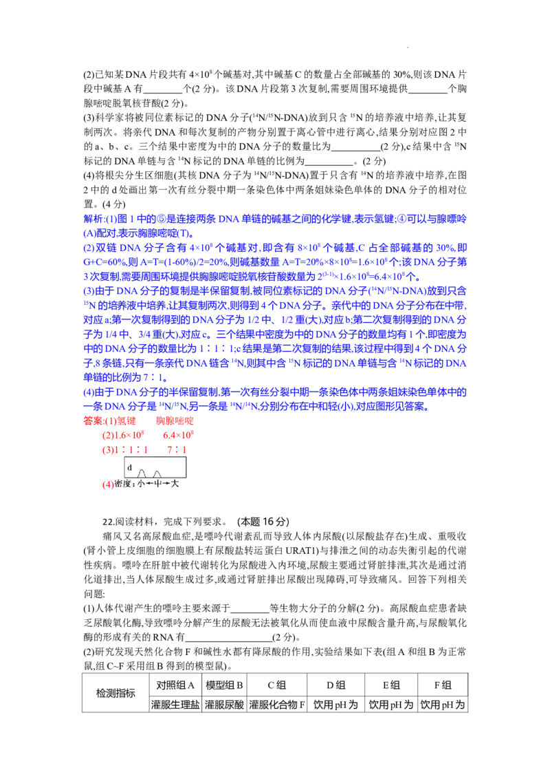 高二生物试题解析版_2025年10月高二试卷_251029湖北省部分高中协作体2025-2026学年高二上学期10月月考_湖北省部分高中协作体2025-2026学年高二上学期10月月考生物试题含答案