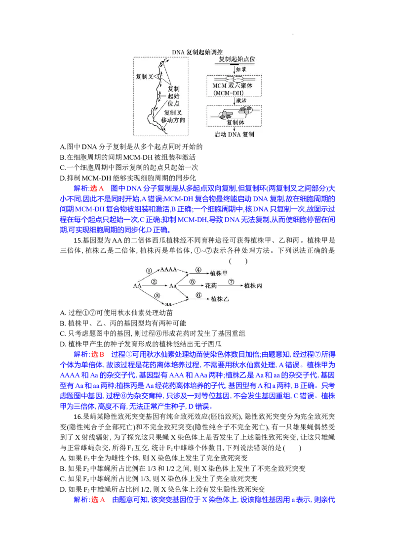 高二生物试题解析版_2025年10月高二试卷_251029湖北省部分高中协作体2025-2026学年高二上学期10月月考_湖北省部分高中协作体2025-2026学年高二上学期10月月考生物试题含答案