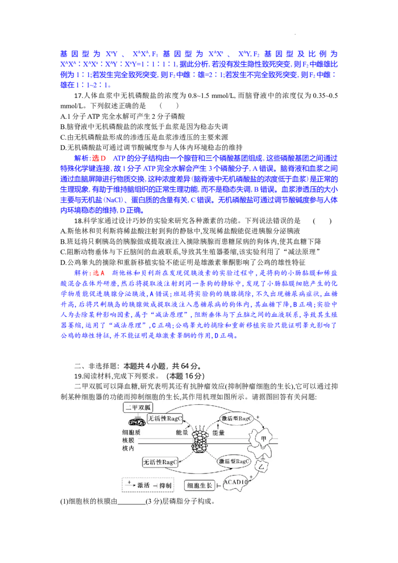 高二生物试题解析版_2025年10月高二试卷_251029湖北省部分高中协作体2025-2026学年高二上学期10月月考_湖北省部分高中协作体2025-2026学年高二上学期10月月考生物试题含答案