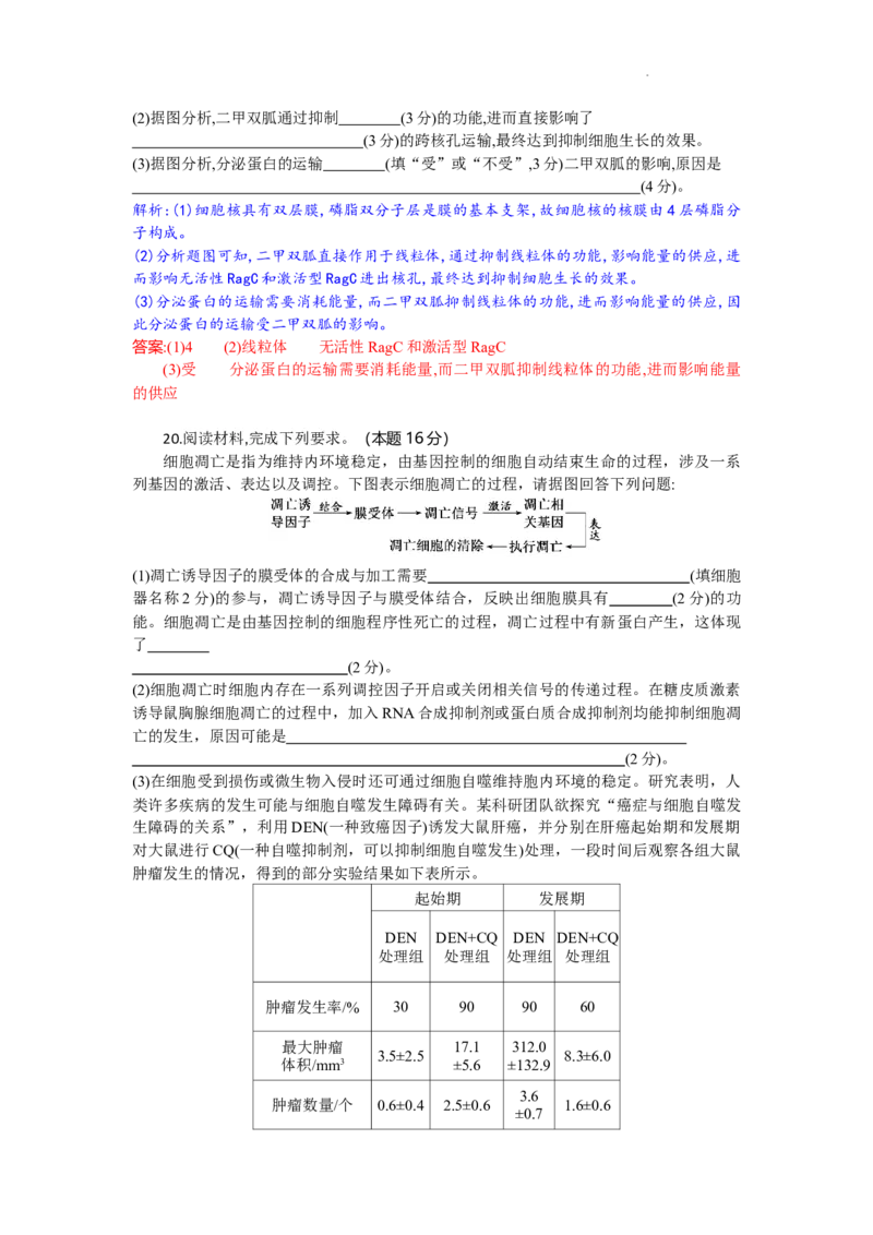 高二生物试题解析版_2025年10月高二试卷_251029湖北省部分高中协作体2025-2026学年高二上学期10月月考_湖北省部分高中协作体2025-2026学年高二上学期10月月考生物试题含答案