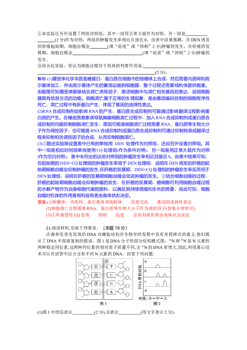 高二生物试题解析版_2025年10月高二试卷_251029湖北省部分高中协作体2025-2026学年高二上学期10月月考_湖北省部分高中协作体2025-2026学年高二上学期10月月考生物试题含答案