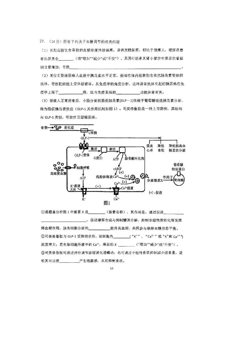 河南省郑州外国语学校2025-2026学年高二上学期10月月考试题生物PDF版含答案_2025年10月高二试卷_251030河南省郑州外国语学校2025-2026学年高二上学期10月月考试题