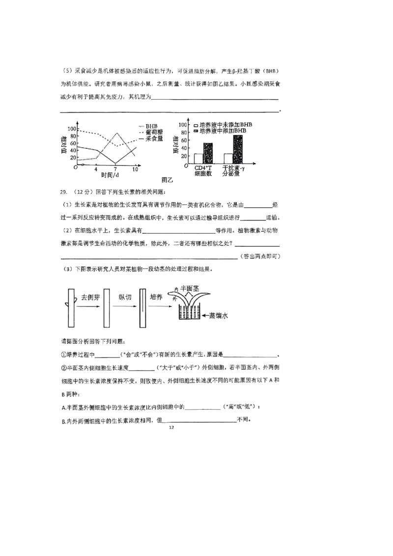 河南省郑州外国语学校2025-2026学年高二上学期10月月考试题生物PDF版含答案_2025年10月高二试卷_251030河南省郑州外国语学校2025-2026学年高二上学期10月月考试题