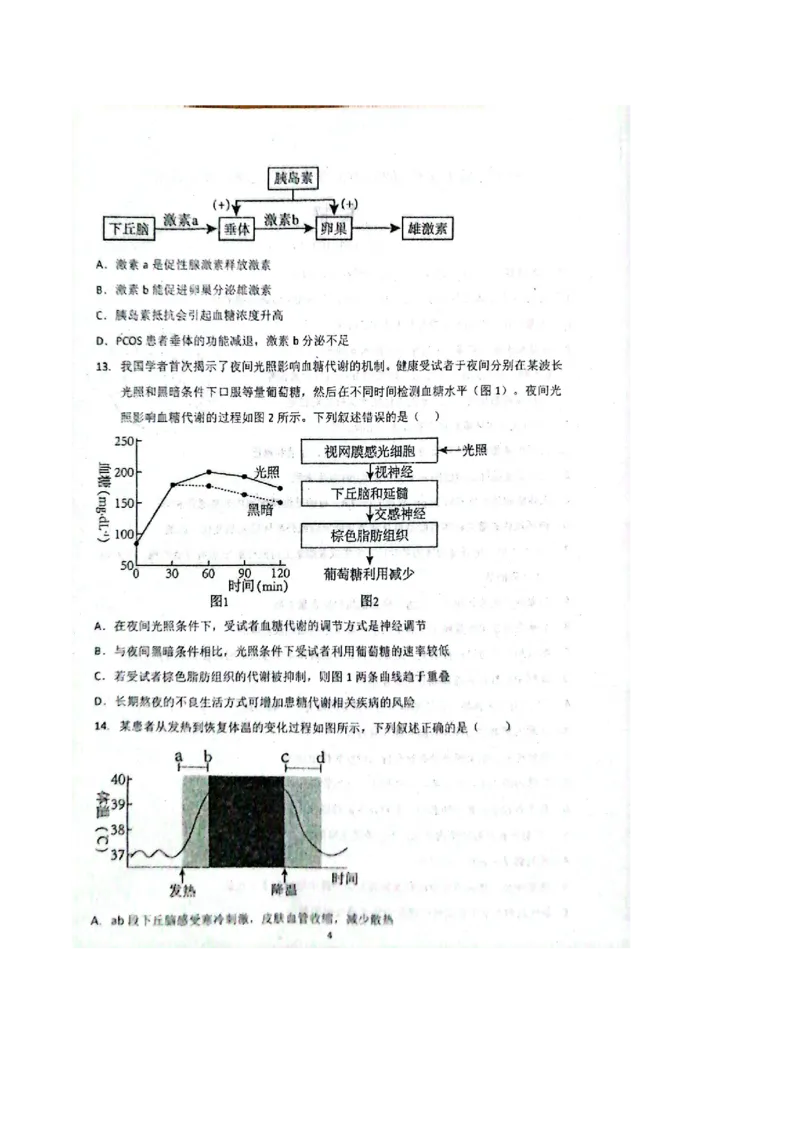 河南省郑州外国语学校2025-2026学年高二上学期10月月考试题生物PDF版含答案_2025年10月高二试卷_251030河南省郑州外国语学校2025-2026学年高二上学期10月月考试题