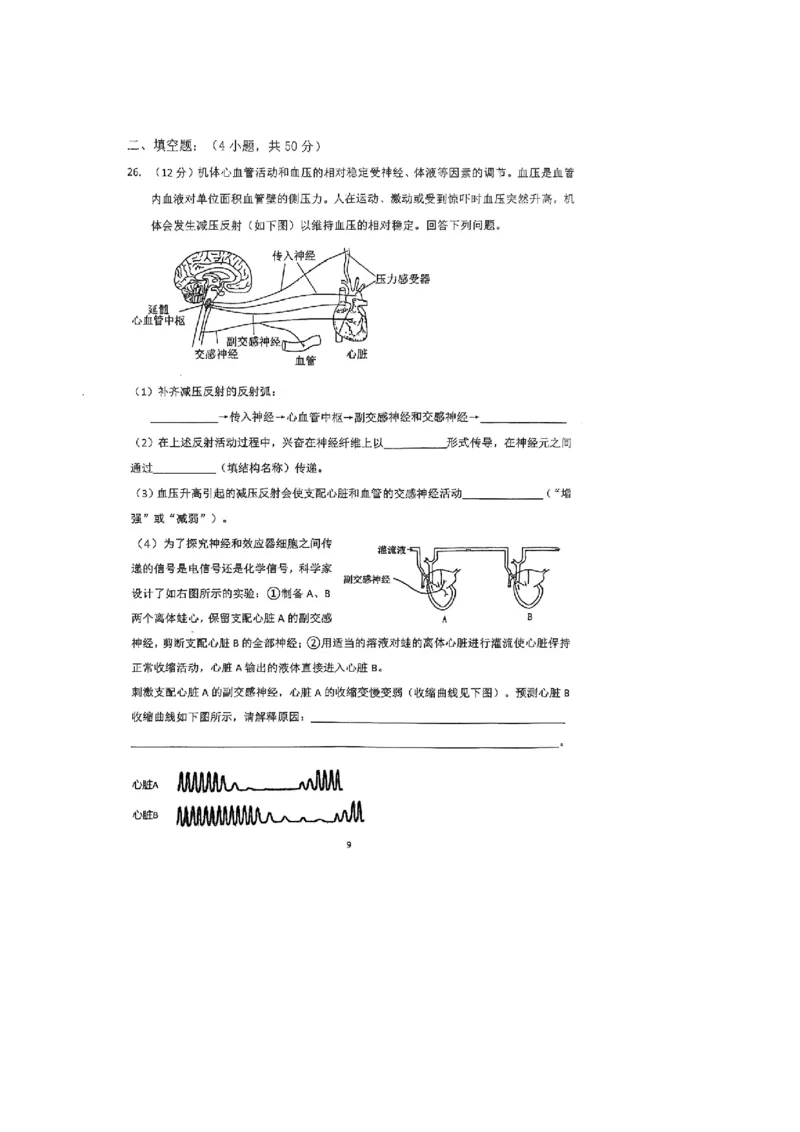 河南省郑州外国语学校2025-2026学年高二上学期10月月考试题生物PDF版含答案_2025年10月高二试卷_251030河南省郑州外国语学校2025-2026学年高二上学期10月月考试题