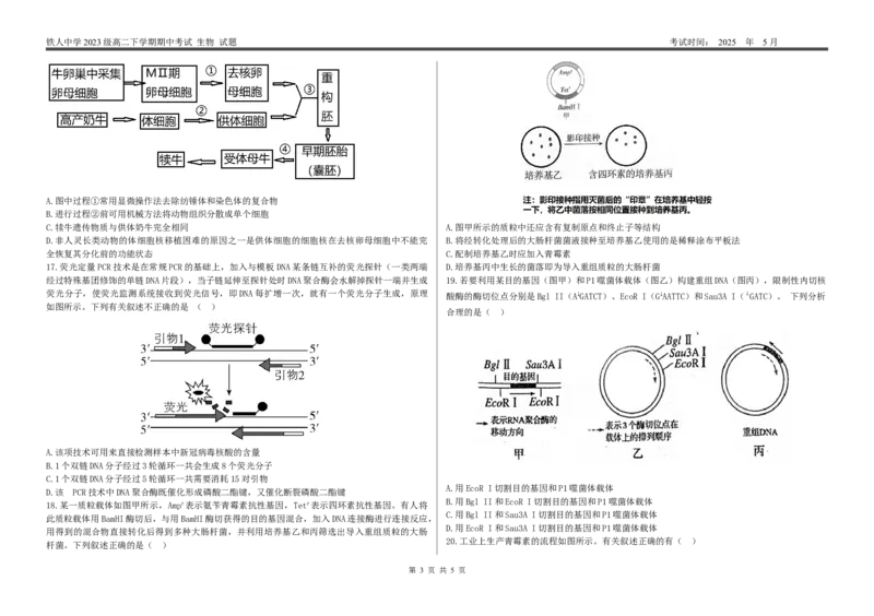 高二下期中考试生物试题_2024-2025高二（7-7月题库）_2025年6月试卷_0609黑龙江省大庆铁人中学2024-2025学年高二下学期期中考试
