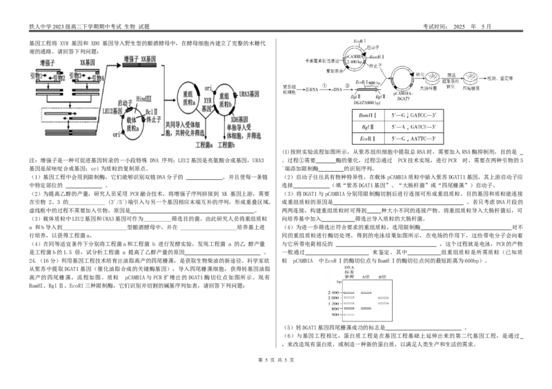 高二下期中考试生物试题_2024-2025高二（7-7月题库）_2025年6月试卷_0609黑龙江省大庆铁人中学2024-2025学年高二下学期期中考试
