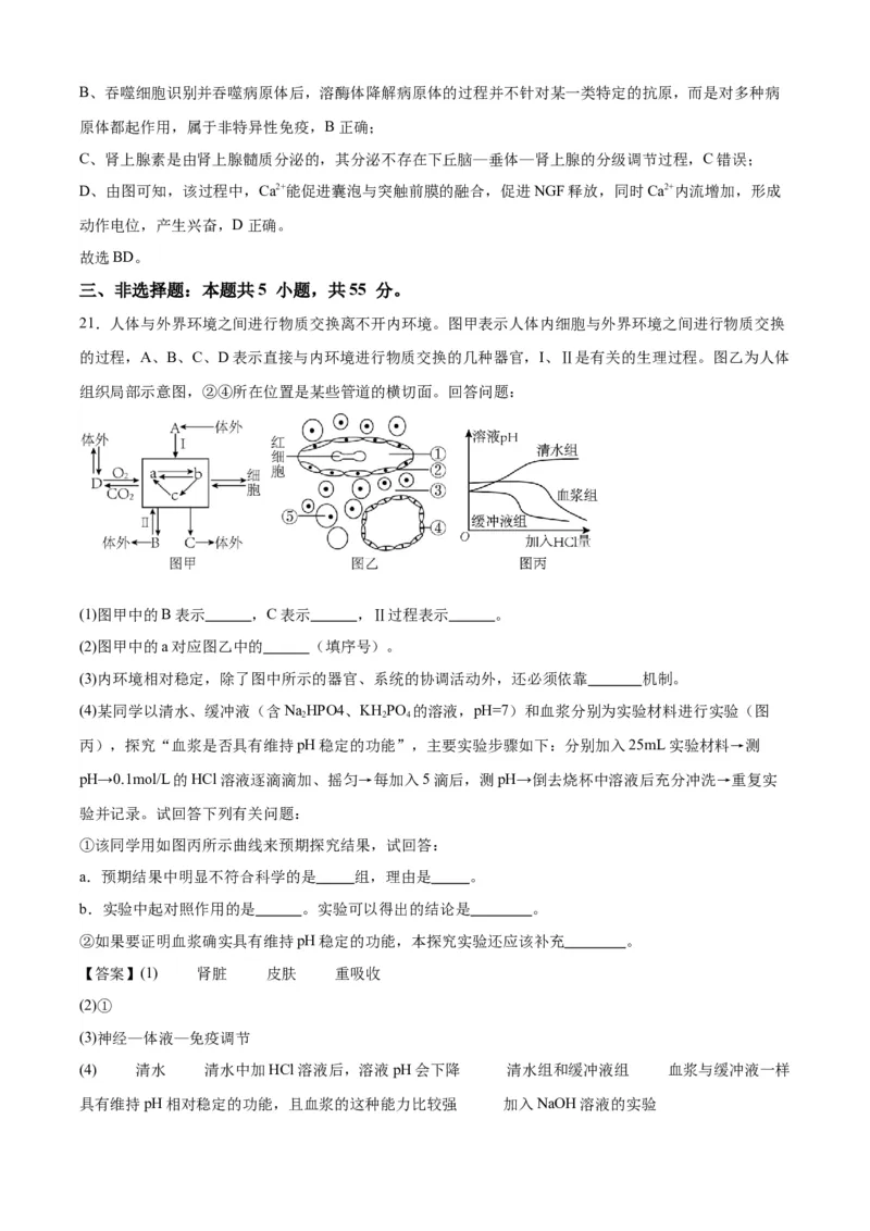辽宁省辽西重点高中2025-2026学年度上学期高二期中考试生物试题（解析版）_251213辽宁省辽西重点高中2025-2026学年高二上学期期中（全）