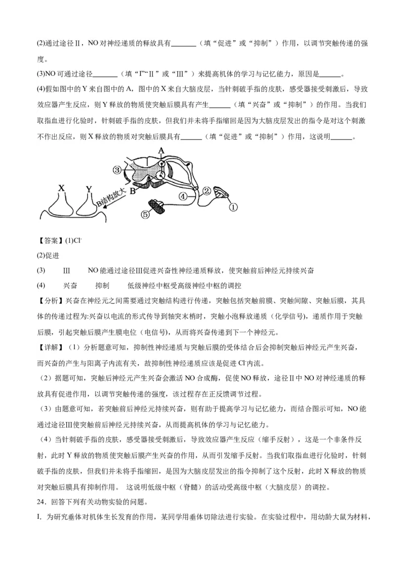 辽宁省辽西重点高中2025-2026学年度上学期高二期中考试生物试题（解析版）_251213辽宁省辽西重点高中2025-2026学年高二上学期期中（全）