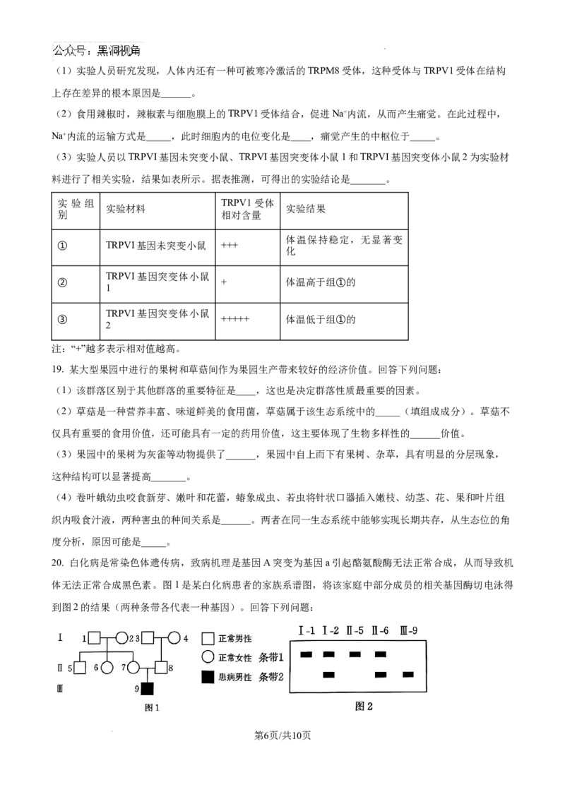 贵州省黔东南苗族侗族自治州2024-2025学年高三上学期开学考试生物试题_2024-2025高三（6-6月题库）_2024年08月试卷_0818贵州金太阳2025届高三8月开学考试（25-15C）