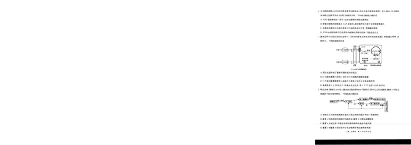 生物_2024-2025高二（7-7月题库）_2026年1月高二_260103金太阳&middot;贺州市普通高中2025秋季学期高二年级12月教学质量抽检（26-181B）（全）