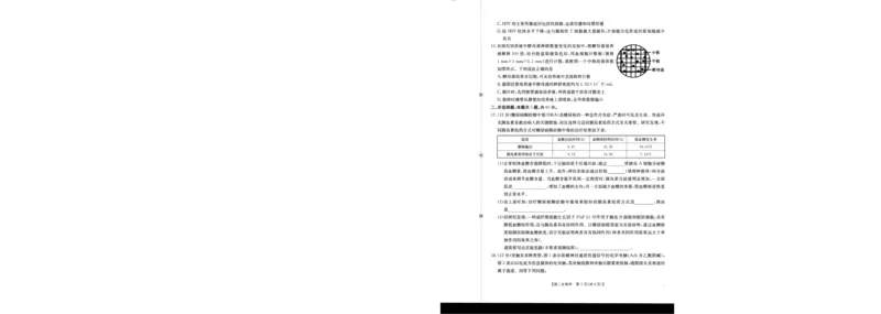 生物_2024-2025高二（7-7月题库）_2026年1月高二_260103金太阳&middot;贺州市普通高中2025秋季学期高二年级12月教学质量抽检（26-181B）（全）
