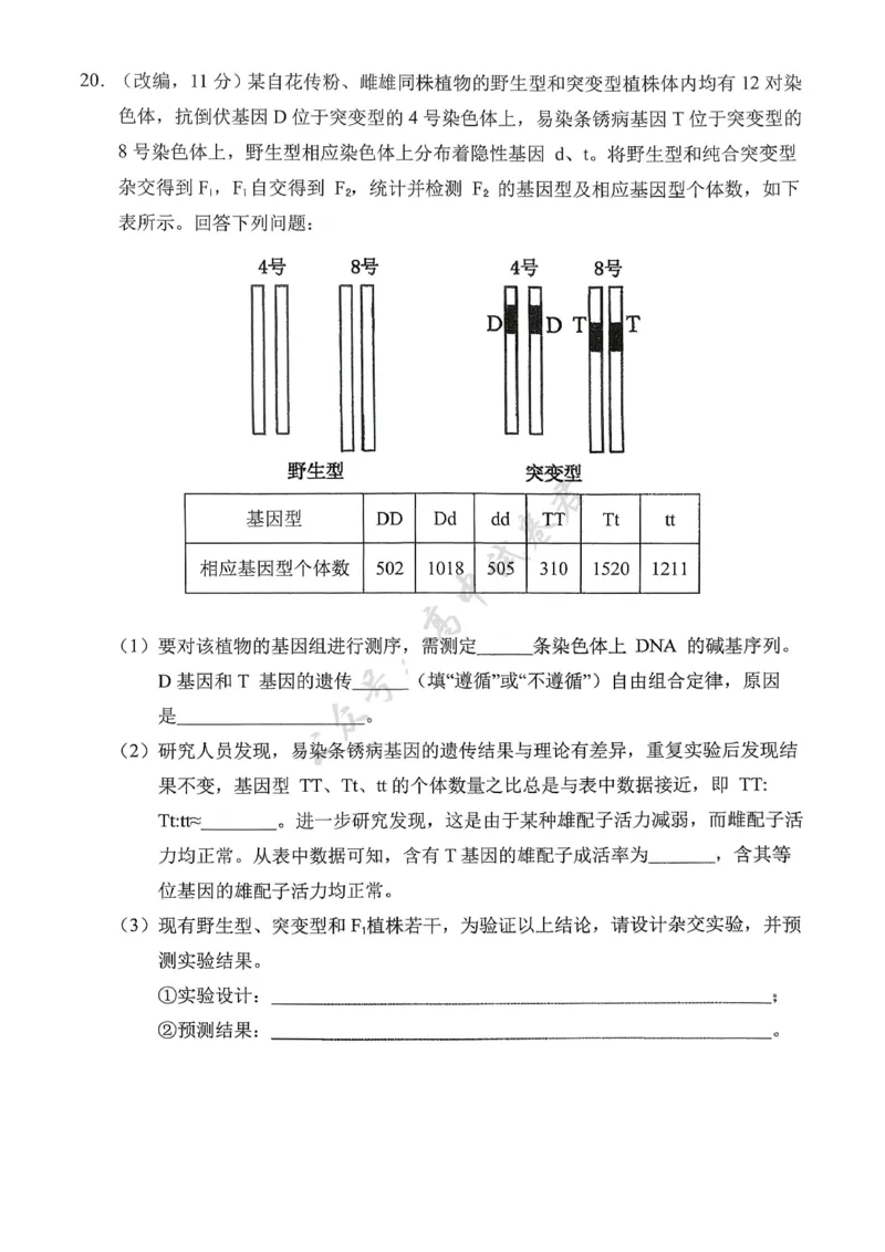 重庆市七校联盟2026届高三二阶段12月联考生物_2024-2026高三（6-6月题库）_2025年12月高三试卷_251225重庆市七校联盟2026届高三二阶段12月联考（全科）