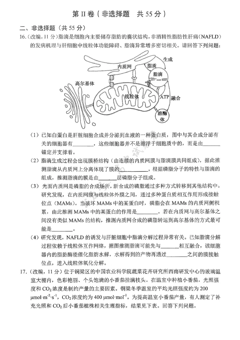 重庆市七校联盟2026届高三二阶段12月联考生物_2024-2026高三（6-6月题库）_2025年12月高三试卷_251225重庆市七校联盟2026届高三二阶段12月联考（全科）