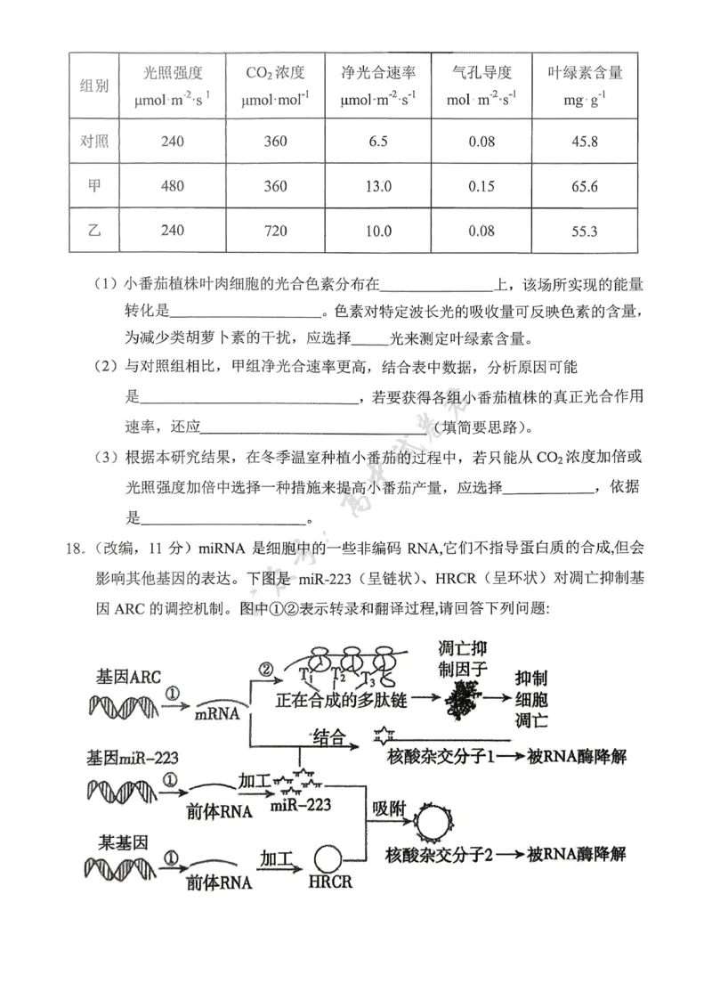 重庆市七校联盟2026届高三二阶段12月联考生物_2024-2026高三（6-6月题库）_2025年12月高三试卷_251225重庆市七校联盟2026届高三二阶段12月联考（全科）