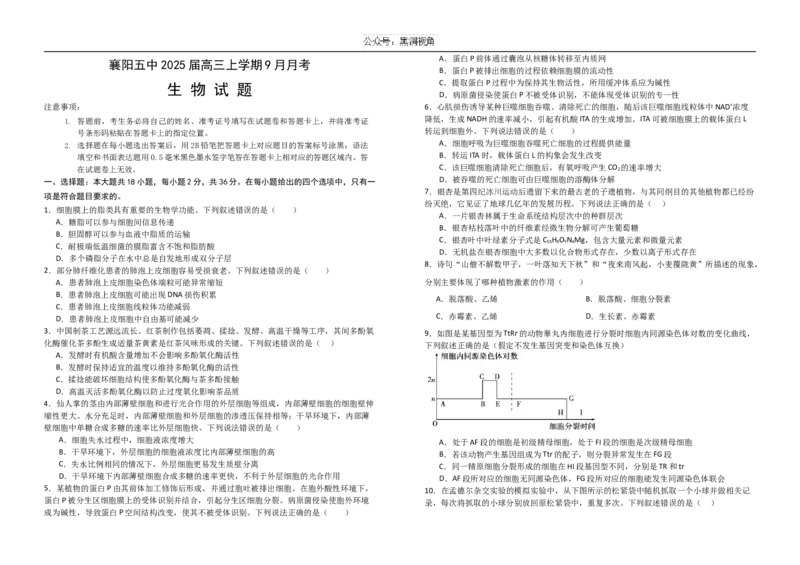 湖北省襄阳市第五中学2024-2025学年高三上学期9月月考生物试题（含答案）_2024-2025高三（6-6月题库）_2024年10月试卷_1003湖北省襄阳市第五中学2024-2025学年高三上学期9月月考