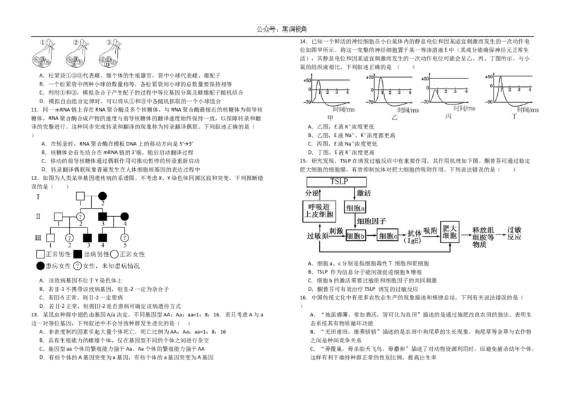 湖北省襄阳市第五中学2024-2025学年高三上学期9月月考生物试题（含答案）_2024-2025高三（6-6月题库）_2024年10月试卷_1003湖北省襄阳市第五中学2024-2025学年高三上学期9月月考